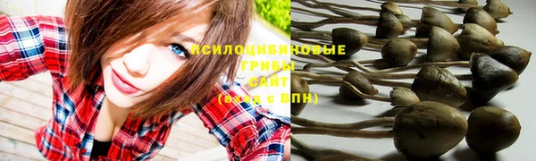 марки nbome Михайлов
