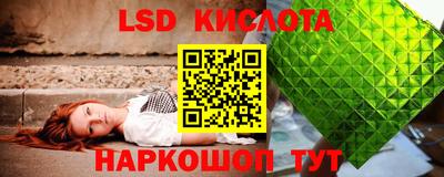 амф Гай