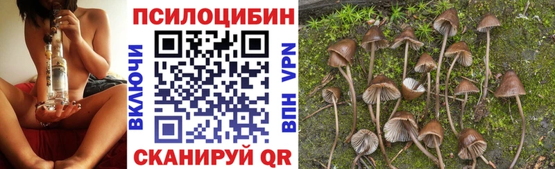 кракен вход  Мценск  Галлюциногенные грибы Psilocybe 