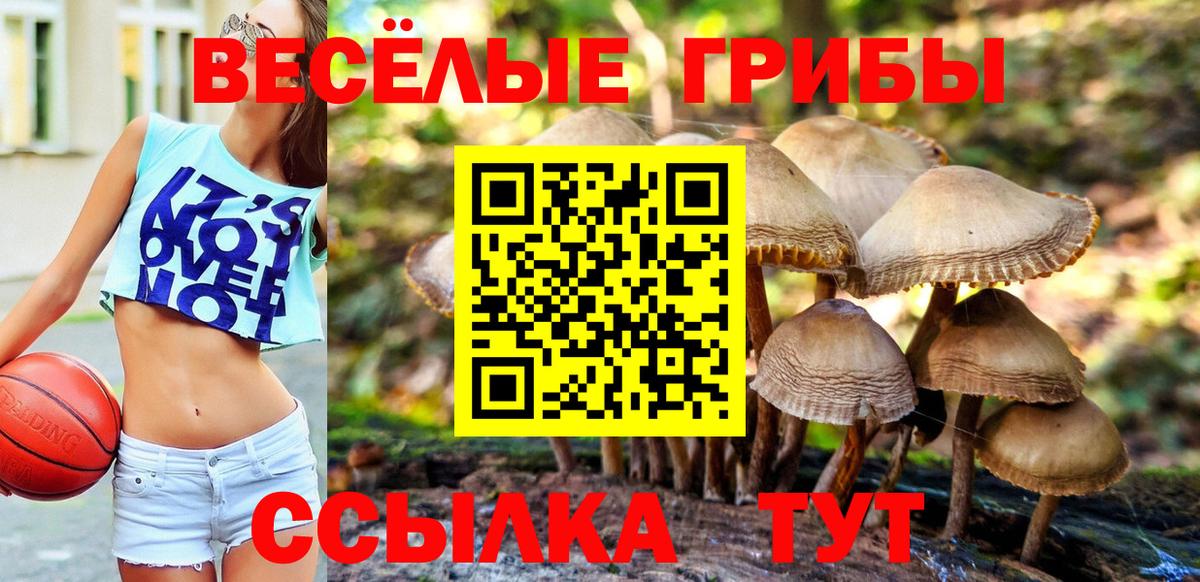 Псилоцибиновые грибы ЛСД Мценск