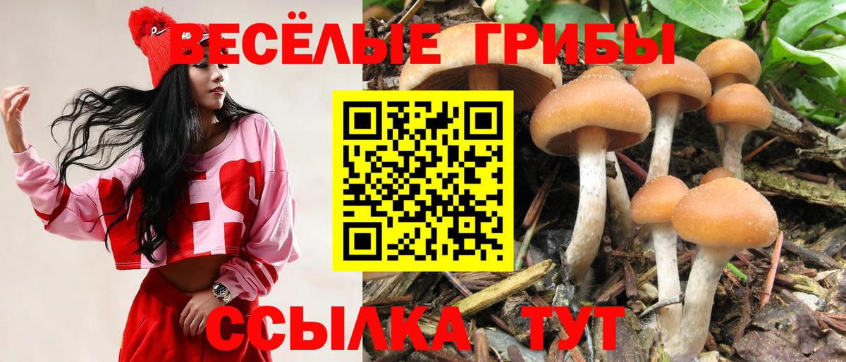 Мценск  закладки  Вход с VPN  Галлюциногенные грибы ЛСД 