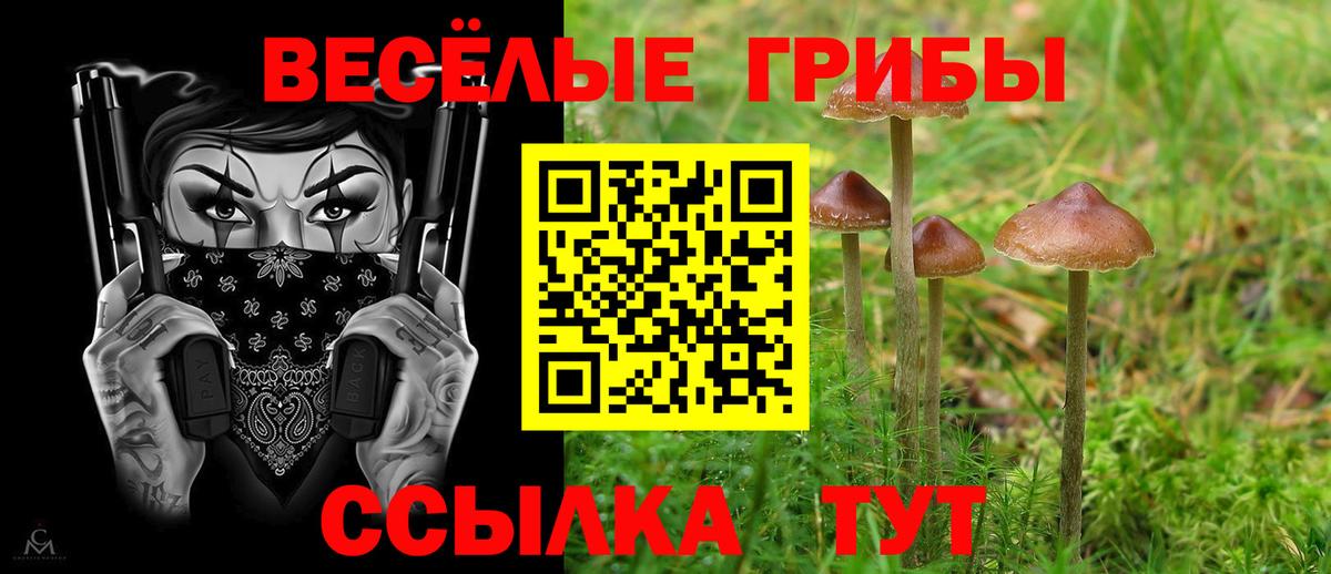 Галлюциногенные грибы Psilocybine cubensis  купить наркоту  Мценск  Галлюциногенные грибы мухоморы 